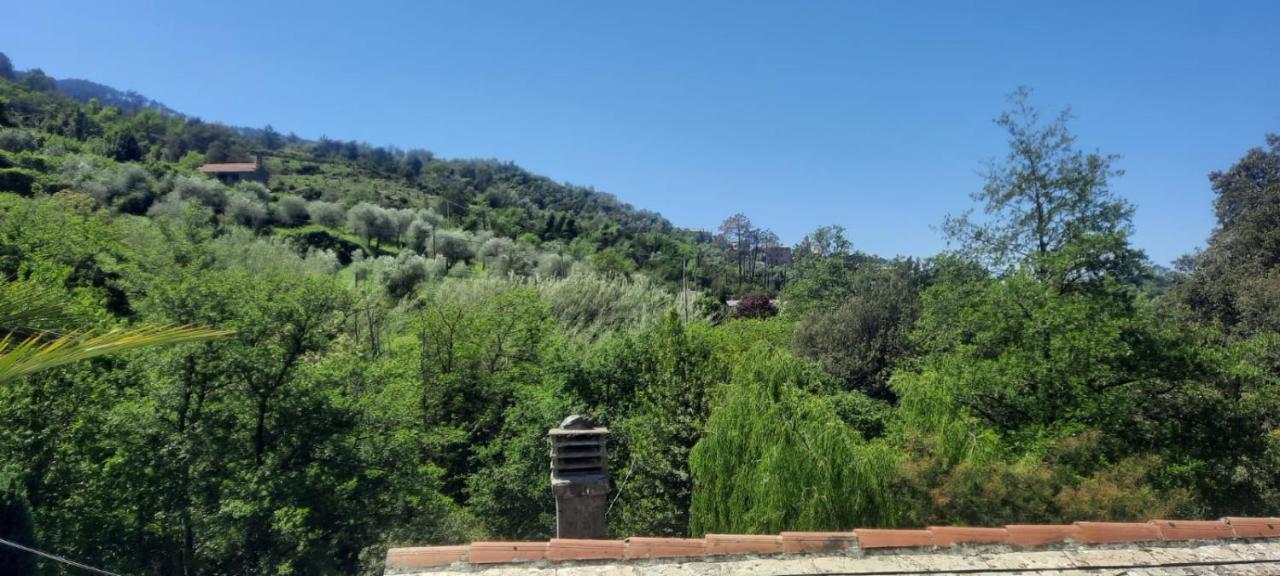 Chiesanuova  Vecchio Mulino Fontona Ortensia מראה חיצוני תמונה