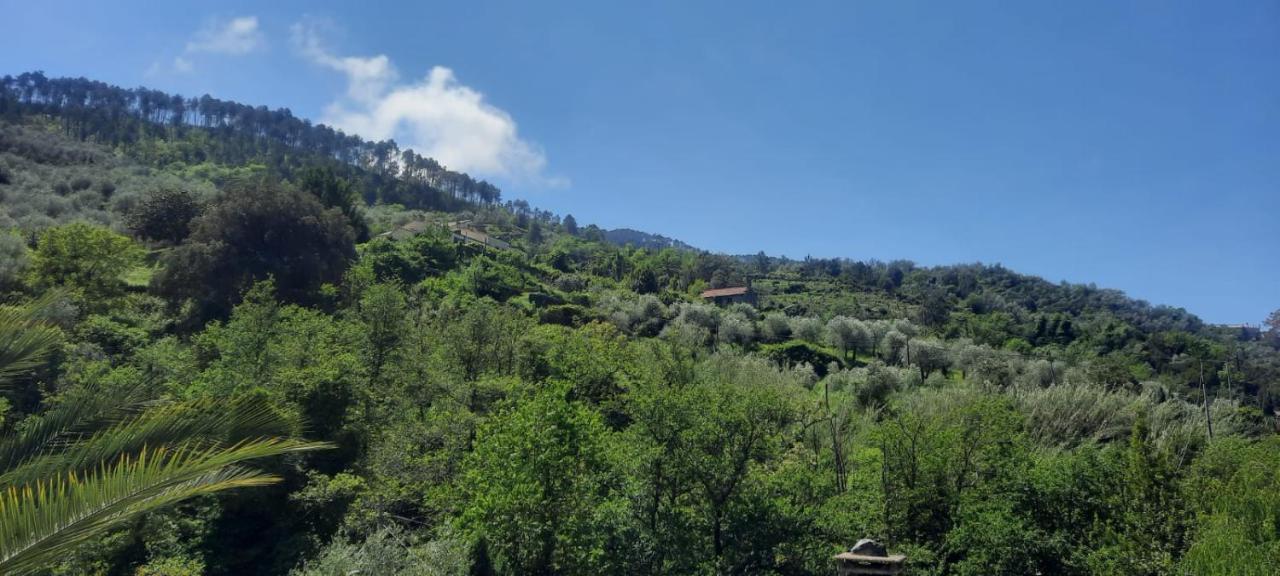 Chiesanuova  Vecchio Mulino Fontona Ortensia מראה חיצוני תמונה