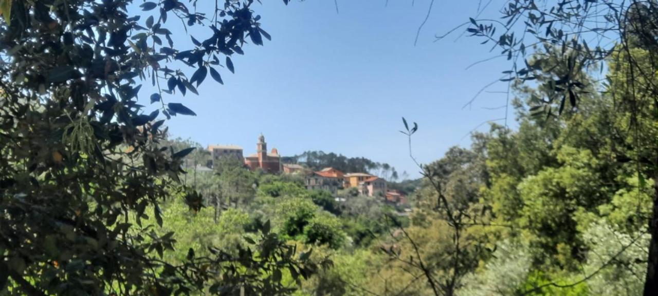 Chiesanuova  Vecchio Mulino Fontona Ortensia מראה חיצוני תמונה
