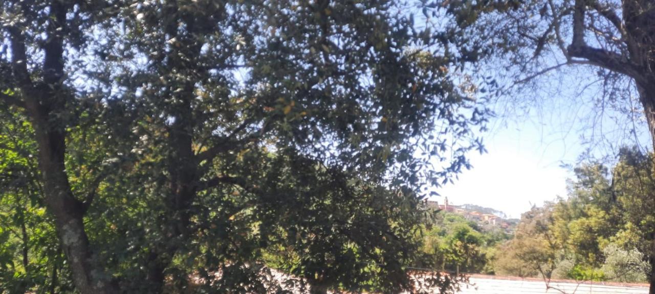 Chiesanuova  Vecchio Mulino Fontona Ortensia מראה חיצוני תמונה